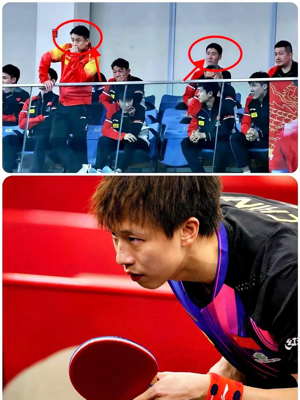 关于中国乒乓球队力克比利时乒乓球队，王皓统治全场的信息