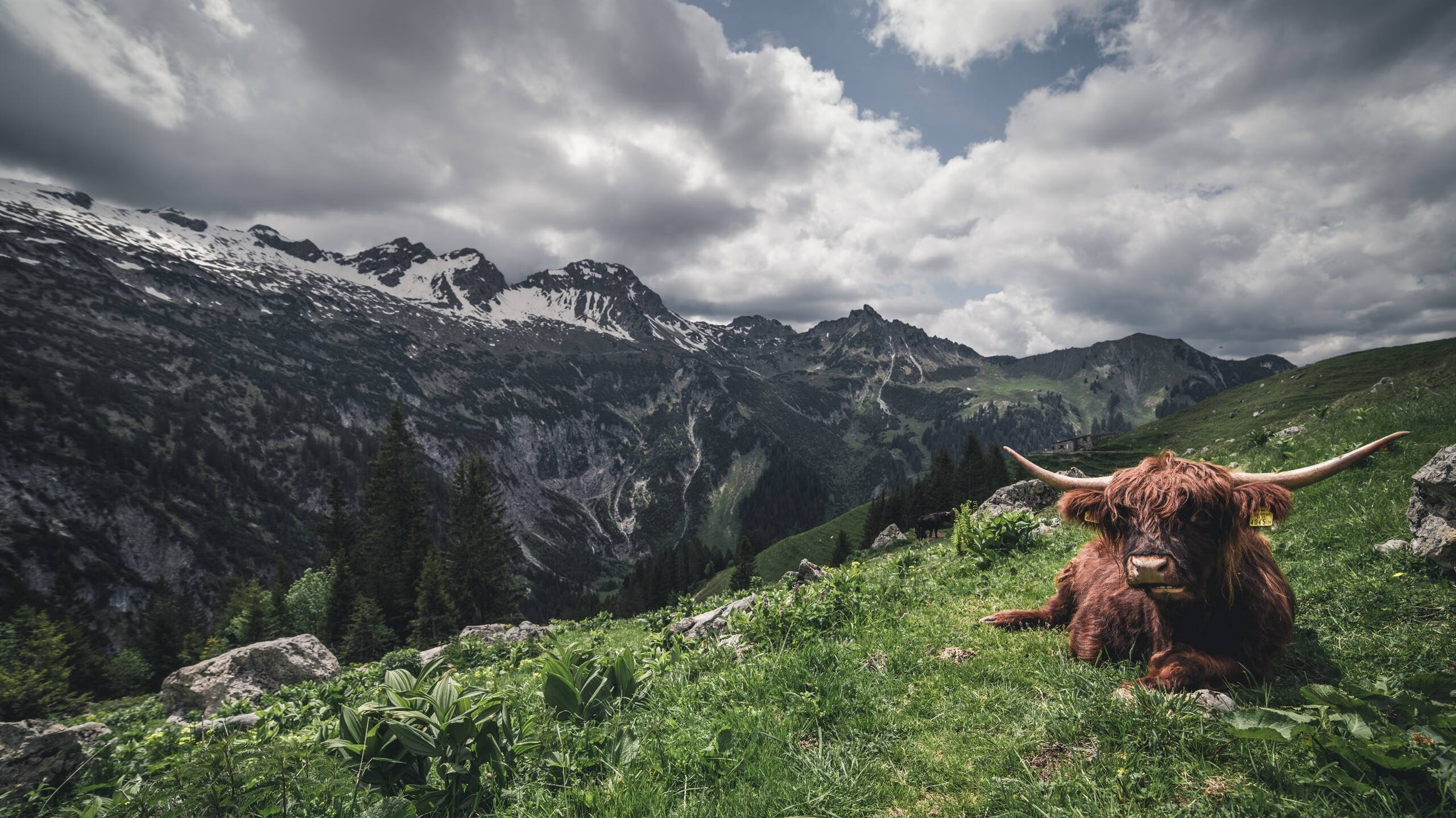 美网逆转与ATP总决赛带队制胜，德约科维奇，逆写胜利法则的唯一性史诗
