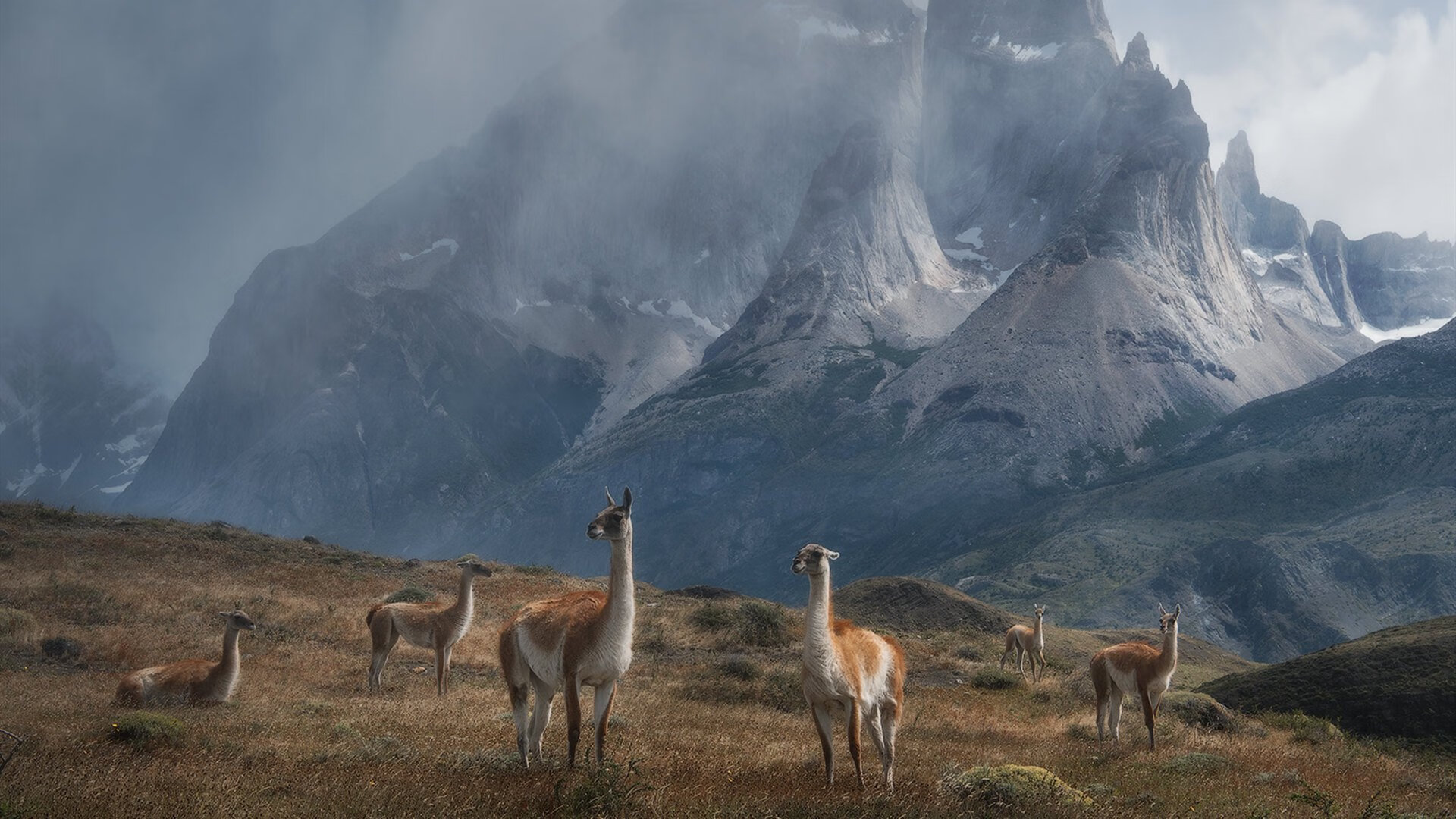 蓝海啸席卷红牛王朝,诺里斯领军,威廉姆斯绝地逆转的史诗之夜