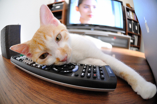 联合杯上的拉沃尔杯式逆转，梅德韦杰夫高光时刻全记录