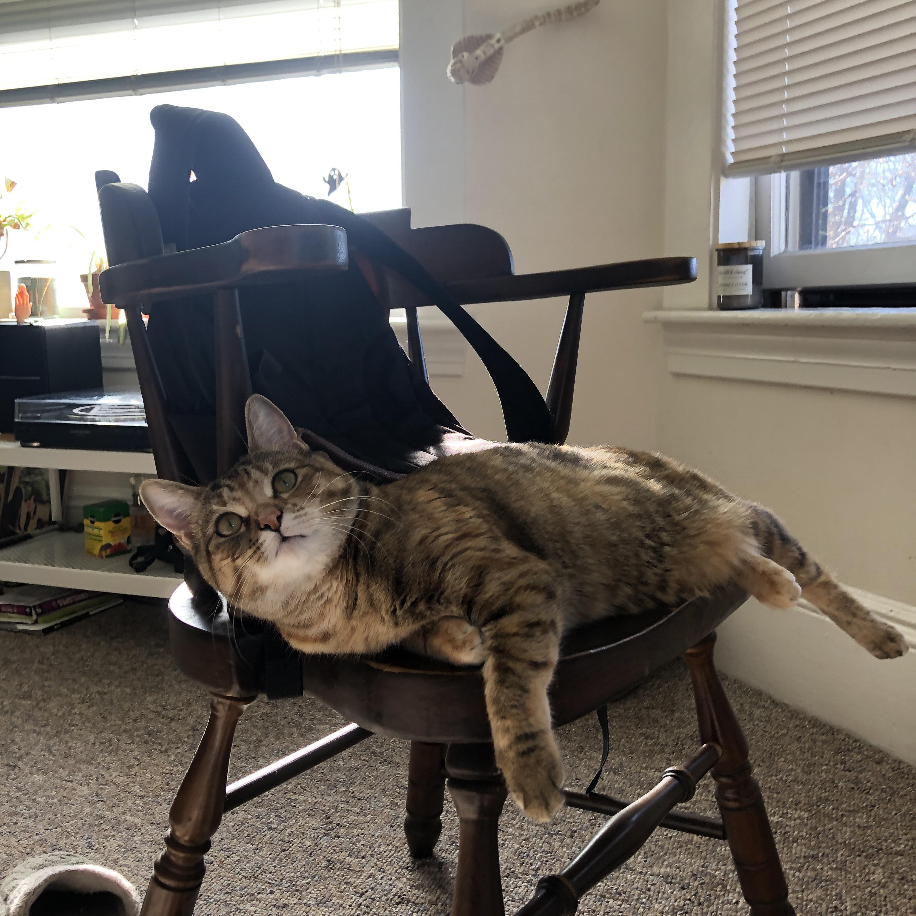 力量的两面，当法国铁骑碾过丹麦，安赛龙在雅努斯之门那头点火