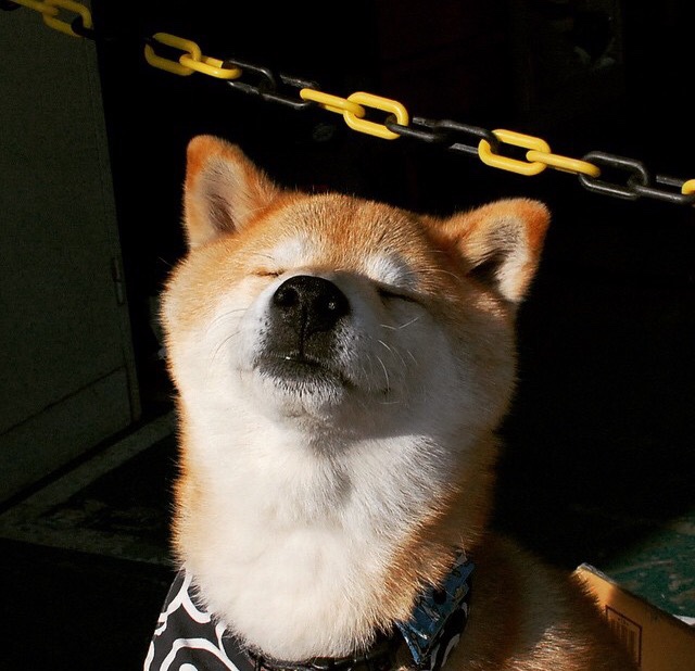 最后一攻竟是扣杀！足球场上演乒乓绝杀，瑞典队轻取葡萄牙，许昕成关键先生