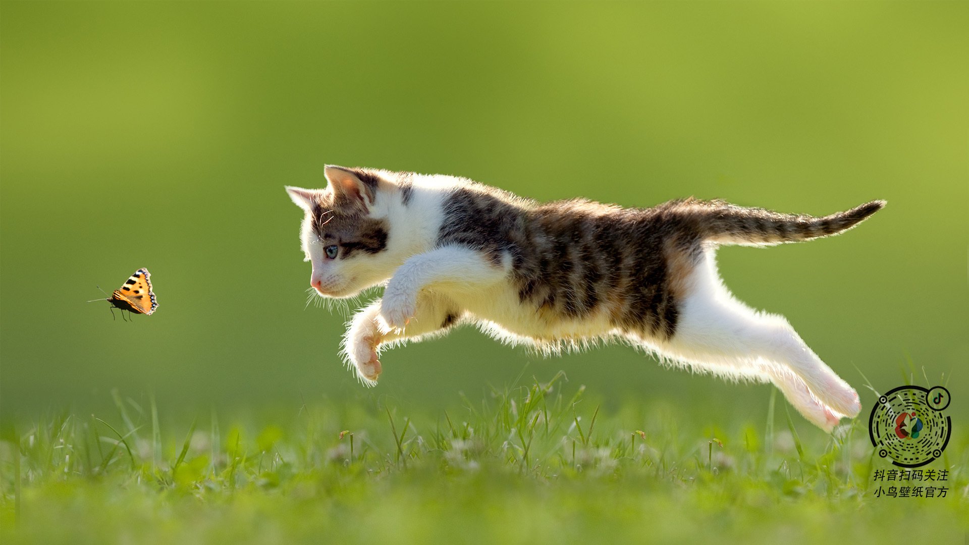 手术刀与拆解大师，当雷恩的团队利刃遇上坎特的防守哲学