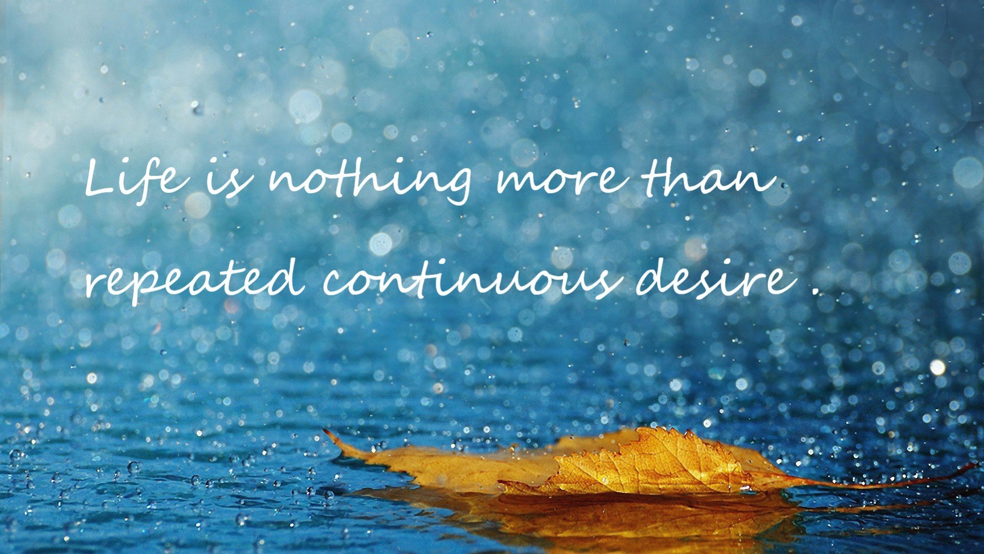 绝杀基因，当C罗的怒吼遇见塞内加尔的鼓声