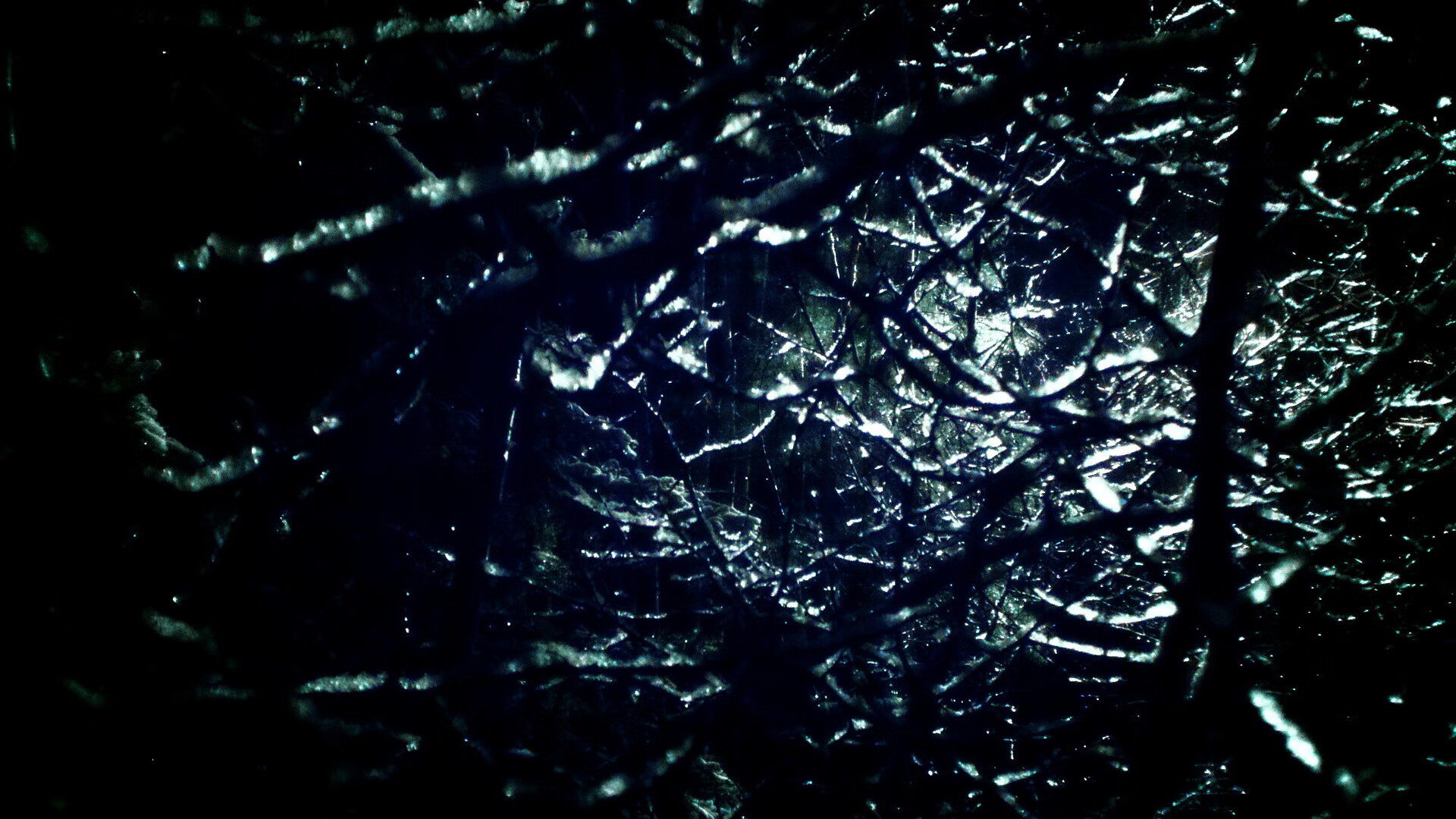 冰火之战，吉林单节绞杀独行侠，福克斯用东方智慧诠释关键先生