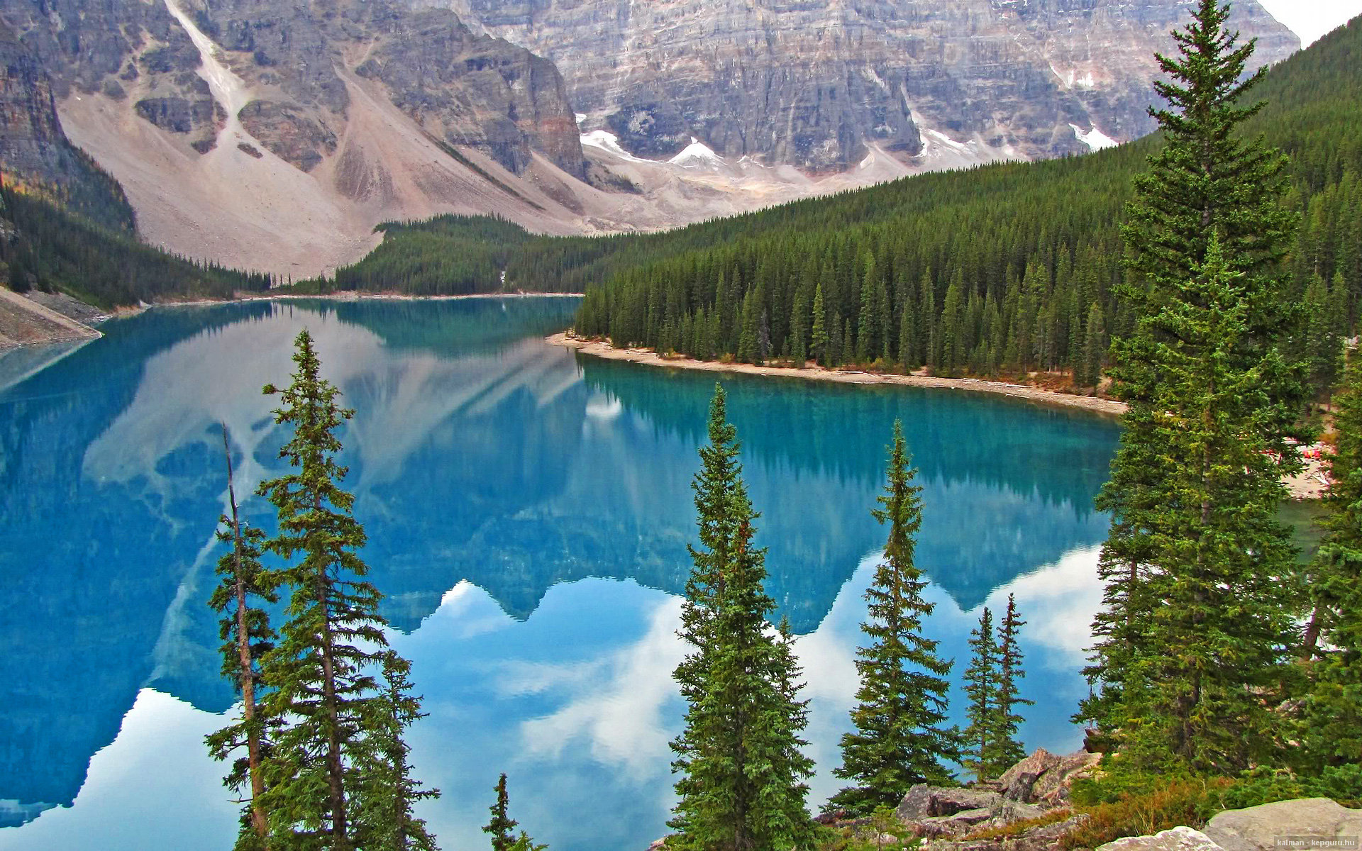 铁血压制与致命一击，勒沃库森征服苏格兰之夜，罗德里加冕为王