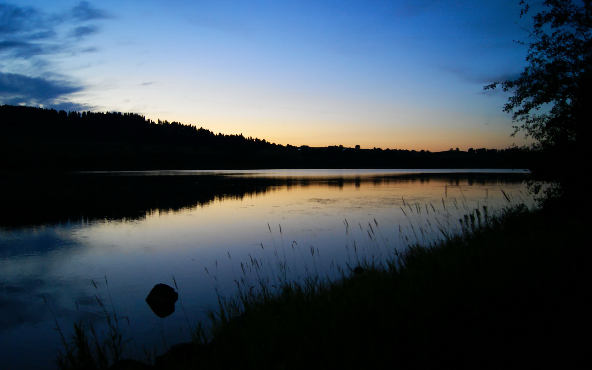汾水奇袭撕裂玫瑰之城防线，布伦森独耀却难敌东方战术洪流