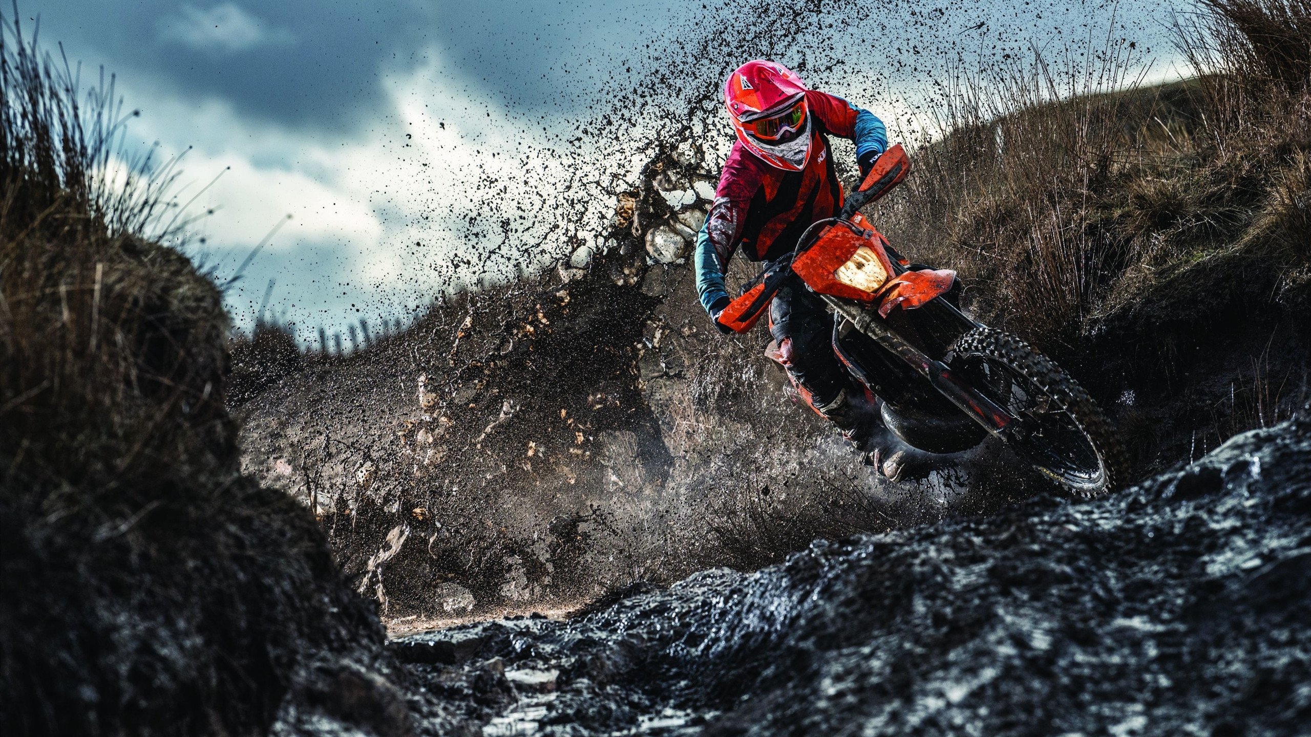 撕裂之夜，锡安·威廉姆森在冰与火的炼狱中重生