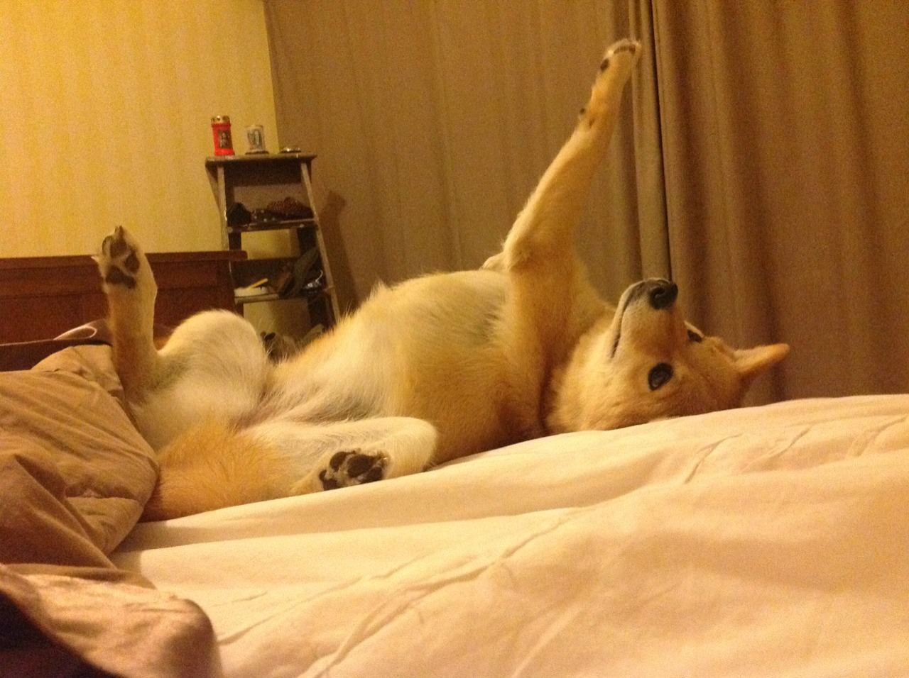 方案（扩展思维后）