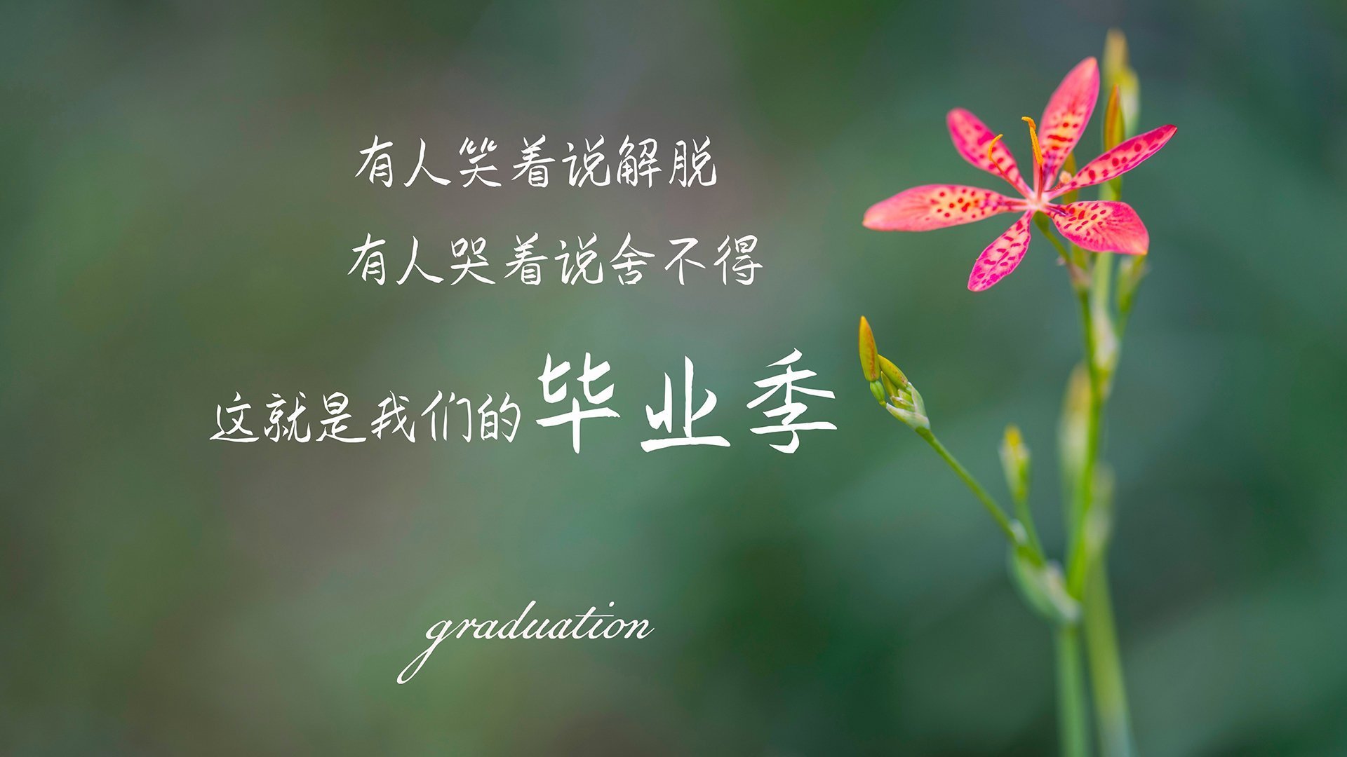 慈善赛惊现世纪冷门！姆巴佩客串绝杀，委内瑞拉爆冷击败曼联