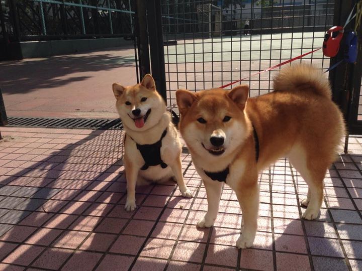 爱游戏-魔法丝线，内马尔在美加墨之夜的中场密码