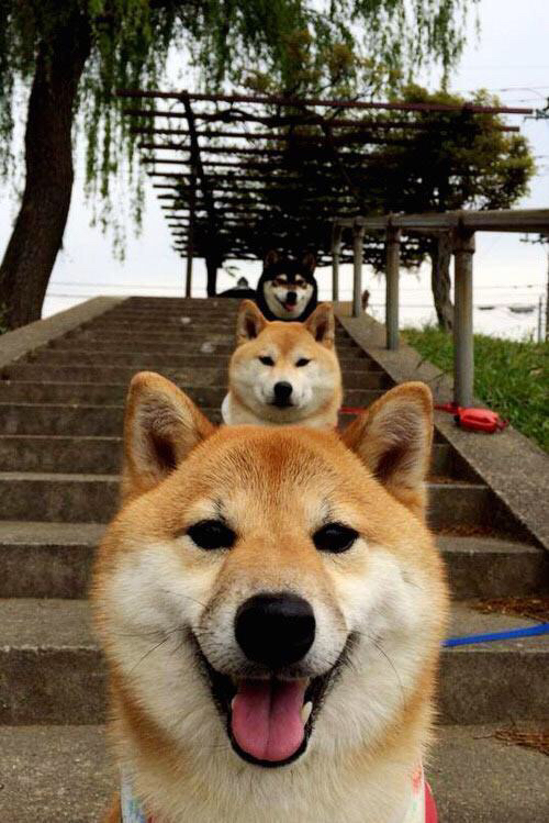 绿茵炼金术，当绝杀与传奇在同夜燃烧