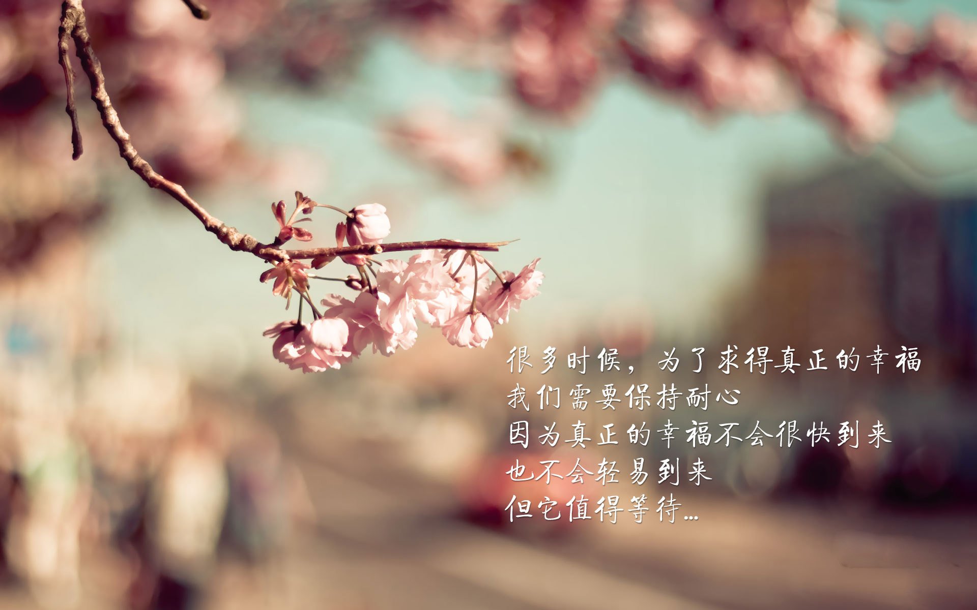 唯一的神谕，在时间的裂缝中，罗德里戈用致命一击为澳洲加冕