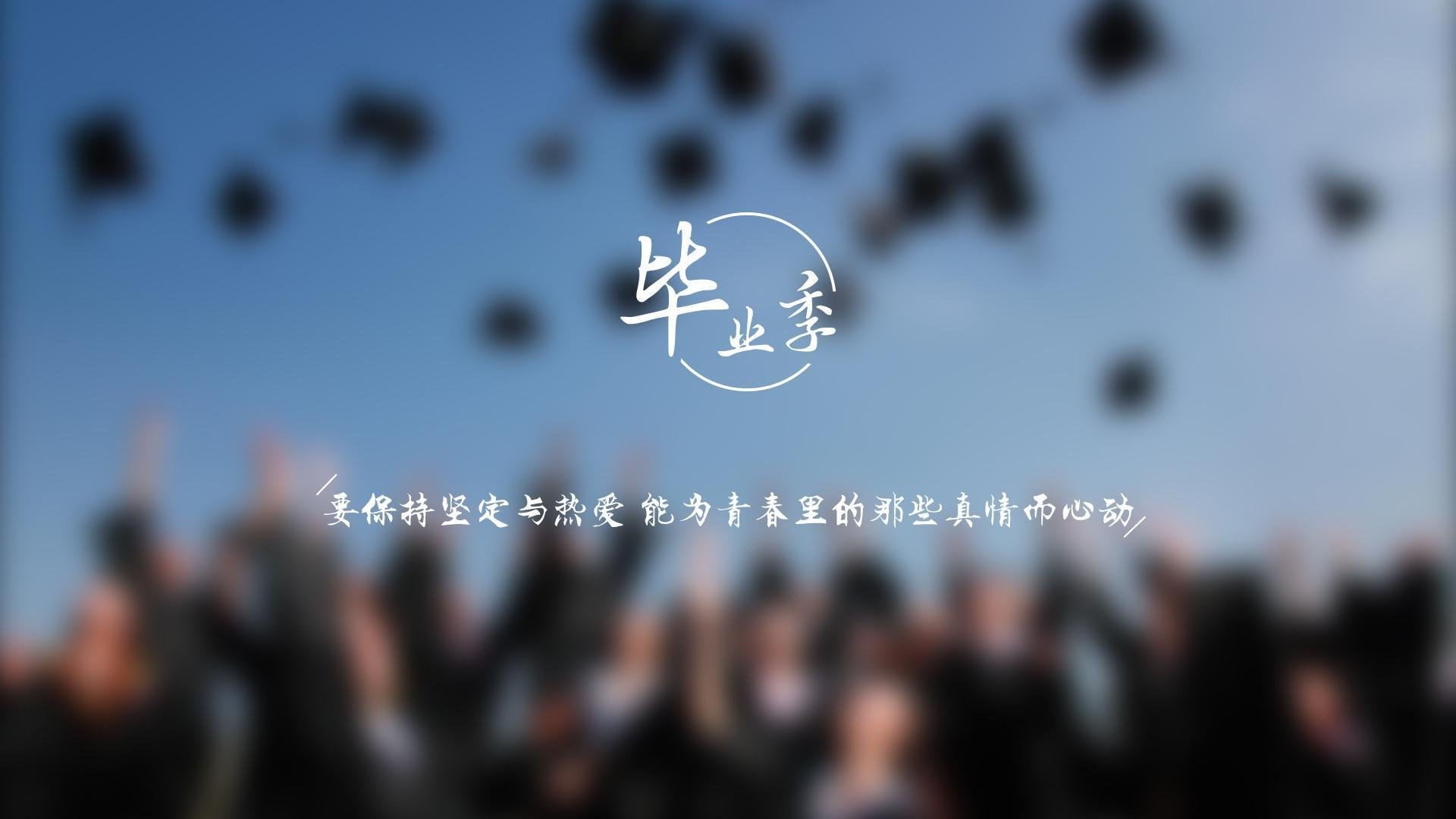 染血的郁金香,2026世界杯的复仇之夜