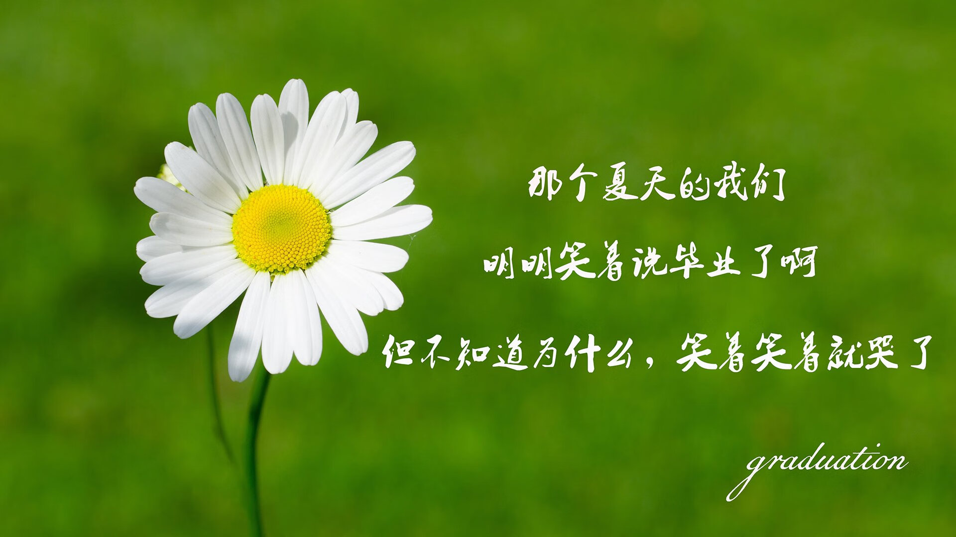 很有戏剧张力。让我们先扩展思维，构思一个能抓住眼球的标题，再展开叙述
